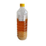 Nohak Mustard Flower Honey (সরিষা ফুলের মধু) 1 kg